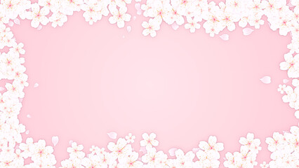 Fototapeta premium spring cherry flowers blossom border frame on pink background , Japanese cherry blossom and petals design element