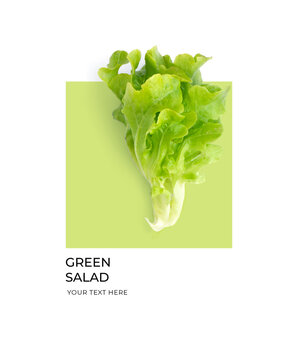 Creative layout made of green salad on the green and white background. Flat lay. Food concept. Lemon on white background.