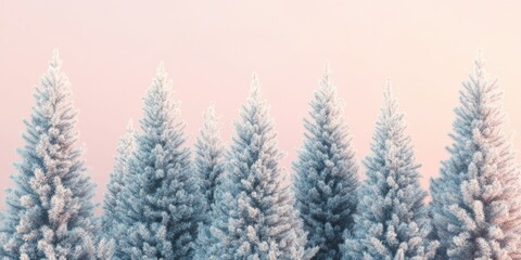 Fototapeta premium Frosty trees at dawn