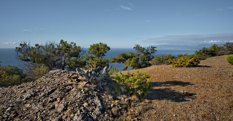 Russia, Novy Svet. Picturesque view of the Black Sea coast from the mountain in the vicinity of the famous Cape Kapchik on the Crimean peninsula.