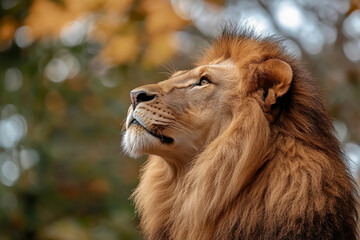 Image of a beautiful wild animals in zoo generative AI concept © Tetiana