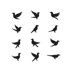 Fototapeta premium abstract bird logos, Minimalist bird icons, black silhouettes 