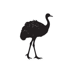 emu bird  black silhouette  