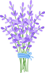Lavender bouquet tied with a light blue ribbon for Women's Day