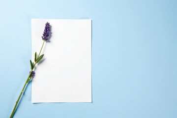 A single sprig of lavender rests elegantly beside a blank sheet of paper on a pale blue background, providing a serene and minimalist composition perfect for various design applications.
