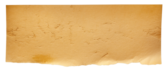 PNG Paper adhesive strip backgrounds rough