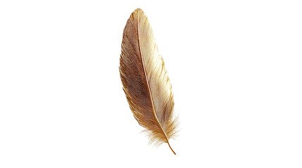Elegant Golden Feather Isolated on Black Background Luxury Design Element for Premium Branding and Fashion Projects art 