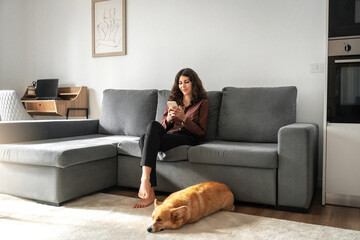 Young freelance business woman sitting on couch sofa using mobile phone application for work...