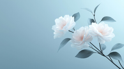 Obraz premium Elegant white flowers with delicate petals and soft green leaves on light blue background create serene and tranquil atmosphere