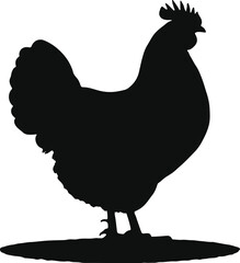 a hen silhouette vector