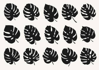 Fototapeta premium Set of black monstera leaves in beautiful style on white background. Element decorative floral. Tropical decoration plant leaf silhouette. Botanical drawing. Isolated vector design.