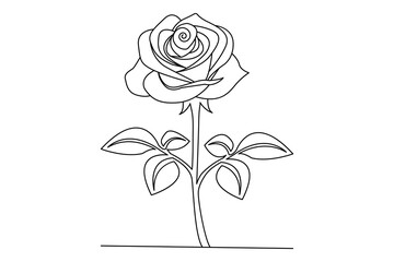 Rose vector illustration on white background with leaves colorless black and white
 contour line easy drawing for love greeting