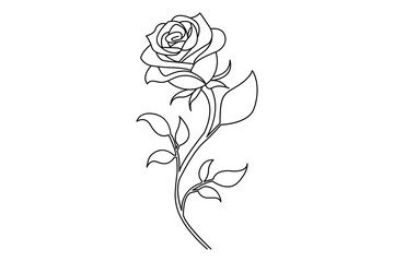 Rose vector illustration on white background with leaves colorless black and white
 contour line easy drawing for love greeting
