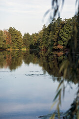 Beautiful lake with calm water surface. Trees and bushes are reflected in the lake