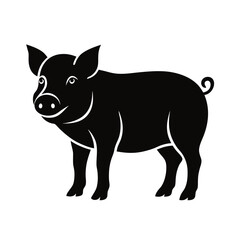 pig vector illustration