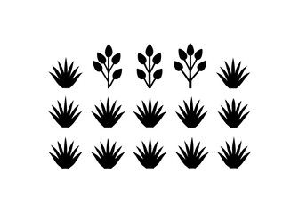 Obraz premium set of icon bush blossom. grass bush vector illustration