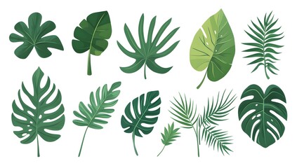 A collection of green leaves, including palm leaves, ferns