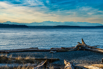 Burien Park Landscape 2