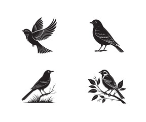 Obraz premium Bird Silhouette Vector Sets