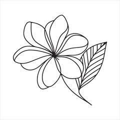 Single one line lily flower in single continuous line drawing style silhouette on white background
