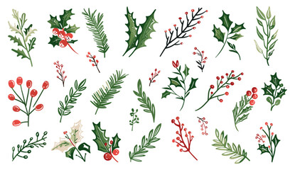 Hand drawn doodle sketch Christmas plant leaf, winter branch elements, rustic wreath, holly floral, holiday decoration, vector illustration, flower set, Christmas tree leaves. © aura studio