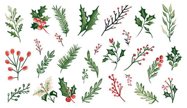 Hand drawn doodle sketch Christmas plant leaf, winter branch elements, rustic wreath, holly floral, holiday decoration, vector illustration, flower set, Christmas tree leaves.