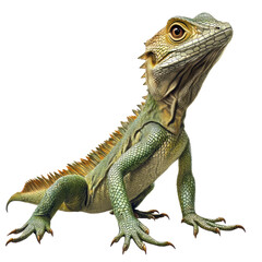 Obraz premium Majestic Lizard: Nature's Intricate Reptilian Beauty