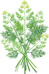 Naklejka premium Dill