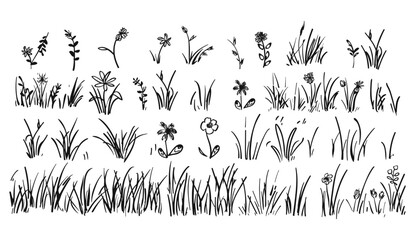 Grass doodle sketch vector illustration, hand drawn clover, sprout, flower, outline field, scribble background, plant, nature elements, green field, floral, natural illustration