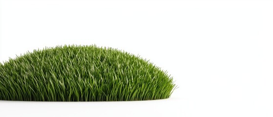 Fresh green grass on a white background, symbolizing nature and growth.