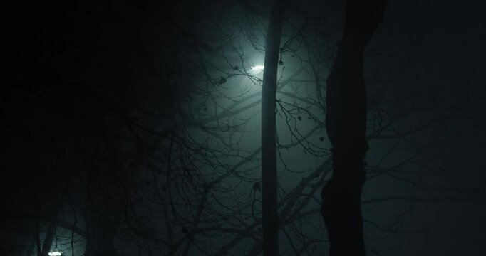 Nebliche, kalte Abend in der Stadt