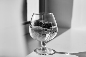 A glass of water with roses captured in soft sunlight, with a black-and-white palette highlighting elegance and timeless beauty.