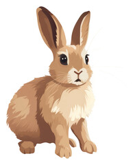 Obraz premium PNG Rabbit animal mammal rodent.