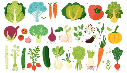 Cabbage, broccoli, lettuce, organic vegetables, vegan diet, vegetarian food, fresh greens, healthy eating, plant-based meals, balanced diet concept, vegetable illustration
