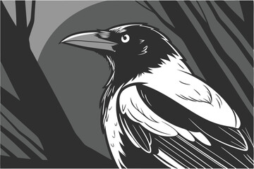  Photorealistic magpie, detailed feathers, black and white plumage, sharp beak, side profile, dark background, studio lighting, high contrast, 8K resolution, wildlife photography, bird portrait, dra