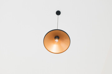 Luxury ceiling lamps light bulbs for home decor.