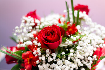 Beautiful bouquet of red roses, perfect for expressing love and romance. Ideal for greeting cards, celebrations, and special occasions