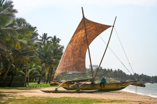  Fishing boats in Negombo, Colombo, Sri Lanka, Asia	