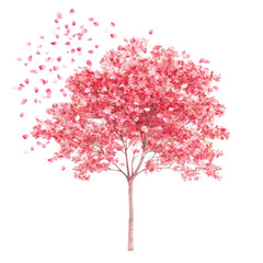 Blossom Cascade: A watercolor rendering of a vibrant cherry blossom tree in full bloom, its delicate pink petals caught in a gentle breeze, evoking the ephemeral beauty of spring.