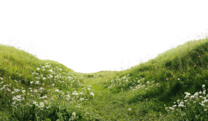 PNG Meadow hills landscape outdoors scenery.