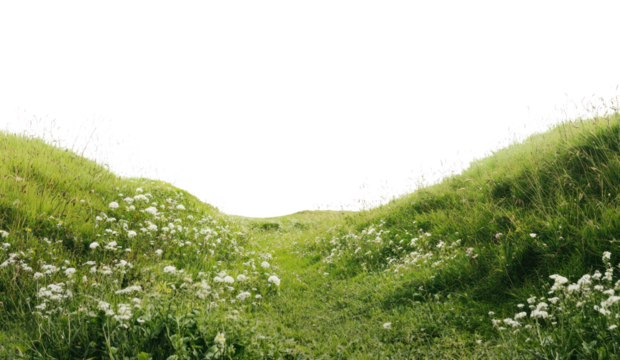 PNG Meadow hills landscape outdoors scenery.