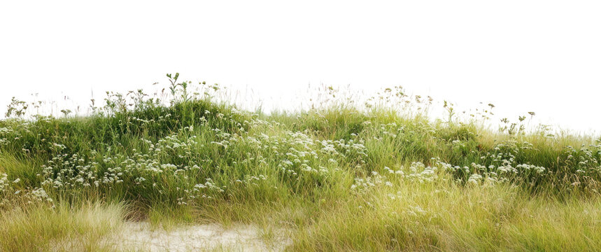 PNG Meadow hills outdoors scenery nature.