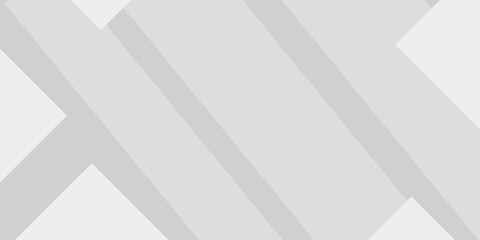 Obraz premium White geometric abstract background overlap layer on bright space with lines effect decoration. Modern graphic design element circles style concept for banner.