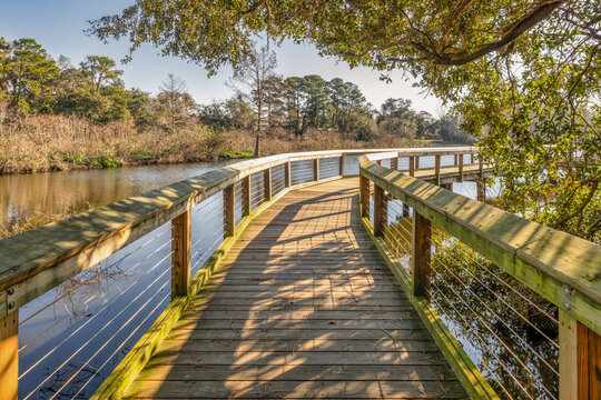 Boardwalk through marshlands