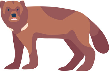 Arctic bear animal vector illustration