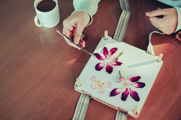 pressing flowers process, ypung hand arranging plants for drying in flower press kit, lovely hobby...