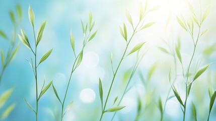 Fresh green sprouts swaying under bright sky. Concept of nature growth and environmental sustainability.