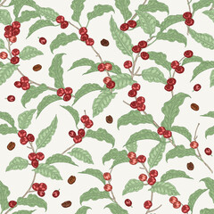 Coffee plant seamless pattern. Coffee beans on branch. Vector illustration hand drawn. Colorful vintage style. Design for packaging.