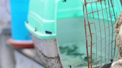 Dirty abandoned pet carrier outdoor, plastic transportation box for domestic animals, broken rusty gate of animal cage