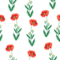 Seamless pattern of scarlet poppies on a white background.Vector pattern for textiles, wallpapers, and backgrounds.